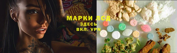 стафф Кодинск