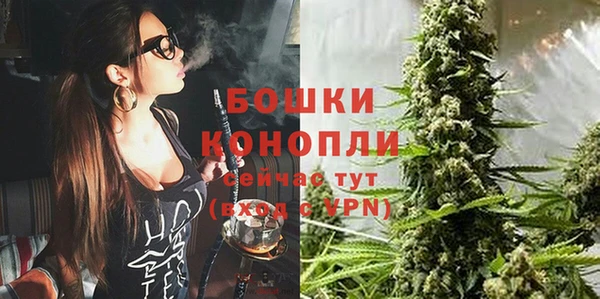 стафф Кодинск