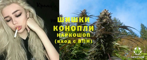 стафф Кодинск