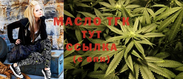стафф Кодинск