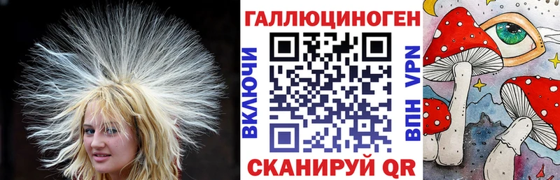 дарнет шоп Чекалин Псилоцибиновые грибы прущие грибы
